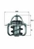 FORD 1571879 Thermostat, coolant